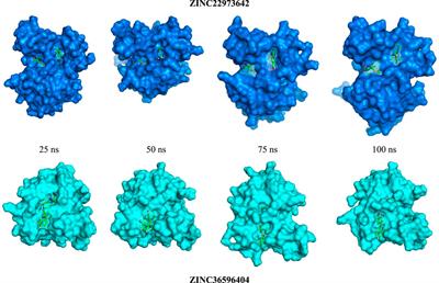 Ligand-based pharmacophore modeling and QSAR approach to identify potential dengue protease inhibitors